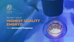 embryos, what is an embryo, embryo implantation